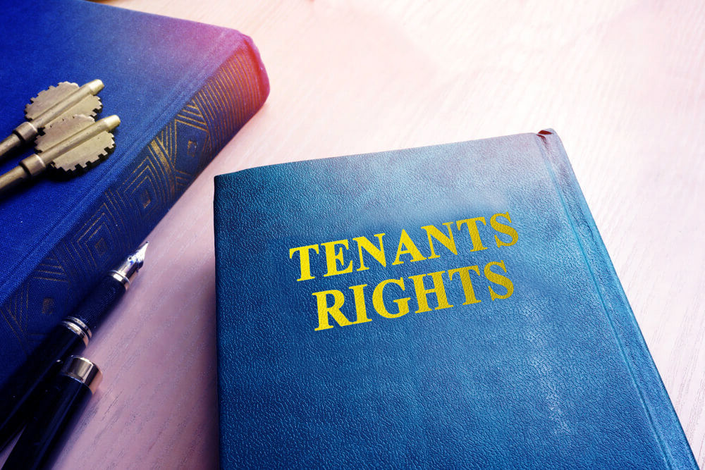 tenant lawyer in New York